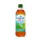 Chanflor Thé Menthe 50cl